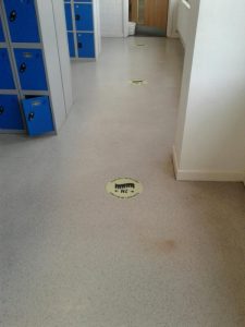 The finished floor
