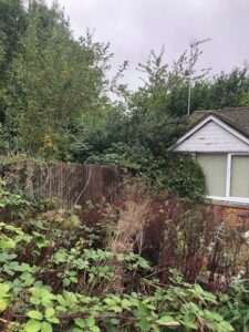 Photos showing the overgrown site